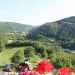 Gallo Cortemilia