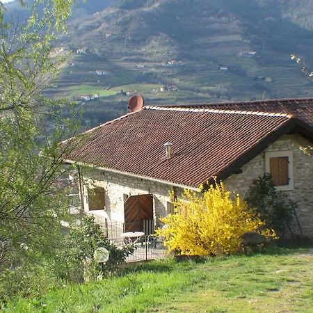 Gallo Alloggio per agriturismo