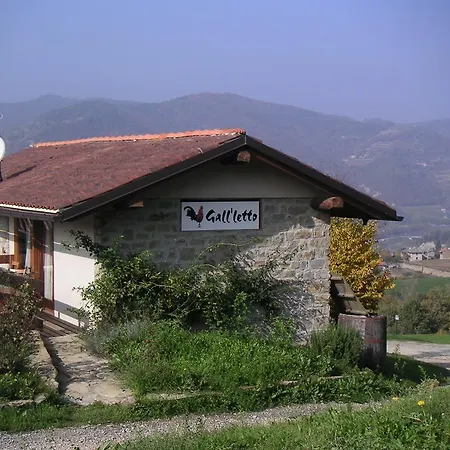 Gallo * Cortemilia